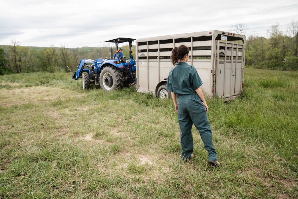 Marrying A Farmer? The Secrets & Surprises Of Farmhouse Romances!